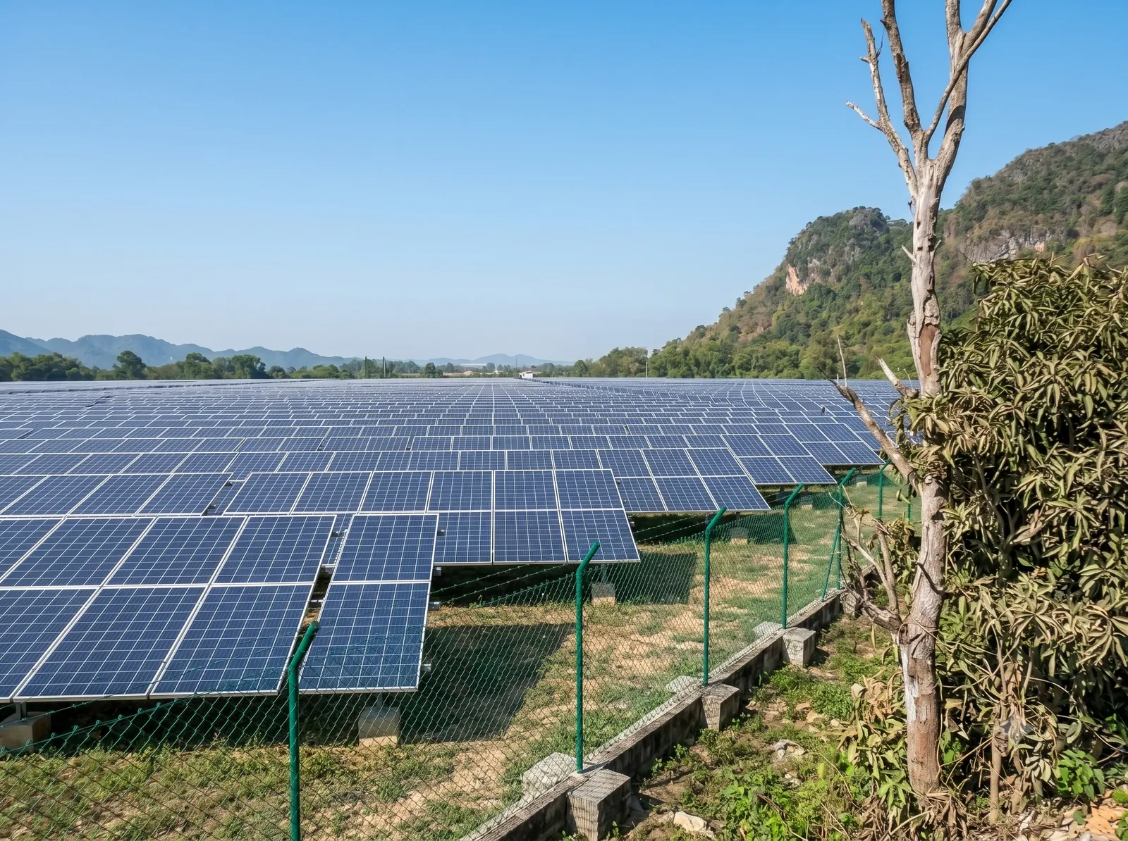 Solar farm project